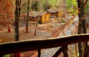 2018041690 1024x280 olwckseiul7ohjwg53ql8lcaqeub8e7tbnzkkr2sww Bamboo India