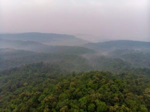 2021062852 Bamboo India