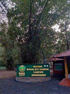 2021062891 Bamboo India