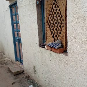 2023 08 03 Bamboo India