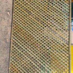 2023 08 08 1 Bamboo India