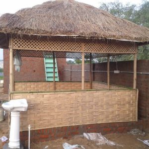 2023 08 08 Bamboo India