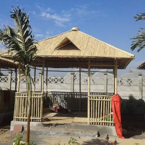 2023 09 23 Bamboo India