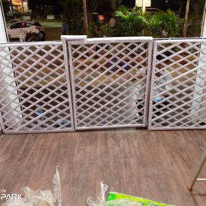 2023 10 11 2 Bamboo India