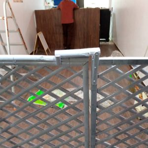 2023 10 11 Bamboo India