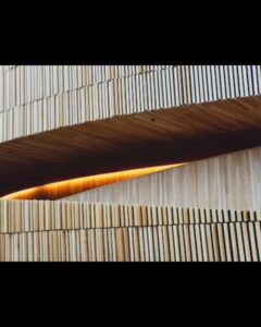 360426152 1484020705699961 4243894754017788012 n.heicfull Bamboo India