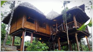 4470eb 237d028ec2c04472bdb6406fb2ece274mv2 Bamboo India