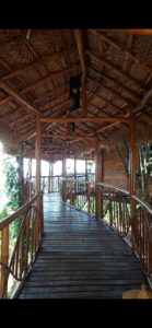 4470eb 6429728e04104d51943a7defc65a8ad2mv2 Bamboo India