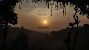 4470eb a0218f07e91b41d8b8be4fff9c0fdaf6mv2 1 Bamboo India