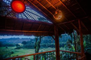 4470eb b51599f7219c4ae38eb6d829eb3cd2c3mv2 Bamboo India