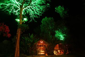 4470eb d1d3d7d2c060450bade71646d89cfa07mv2 Bamboo India