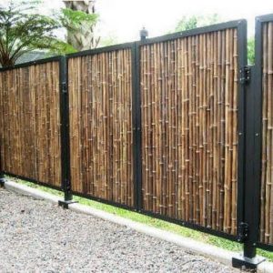 AF1QipMXAG3nnPOlH B3a2No2tXMuyCZfT JsBMxx MLw960 h960 n o v1 Bamboo India