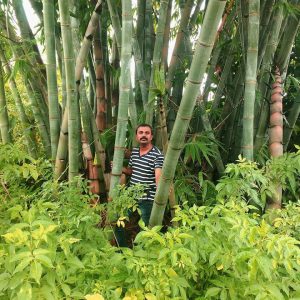 AF1QipMZHYArKFCJrmWel7m8R6fk hrIpw x8uRLzommw960 h960 n o v1 Bamboo India