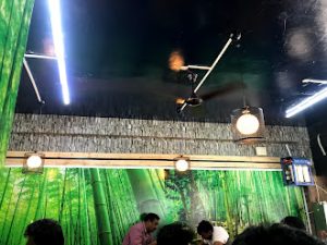 AF1QipNYzaGUiQDEKs4iKHxa9k0CI0gC0JrpjZibbeSWw330 h248 p k no Bamboo India