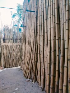 AF1QipOs uplbupYUZaXi7wg3blYlhtPd0J yDxKY239s745 k no Bamboo India