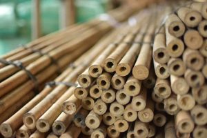 Bamboo poles Bamboo India