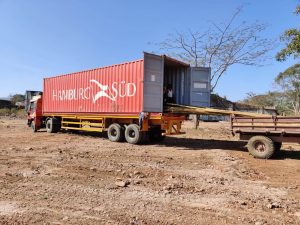 Bamboo poles exporter Bamboo India