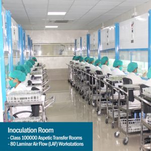 Biotech Slider 02 Bamboo India