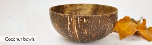 Coconut bowls Bamboo India