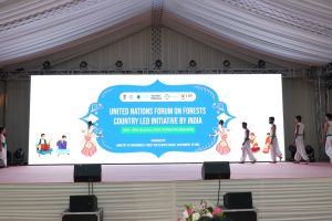 DSC00008 Bamboo India