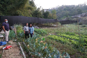 DSC06243 Bamboo India