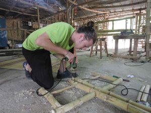 DSCN2938 Bamboo India