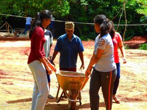 DSCN9340 scaled 1 Bamboo India