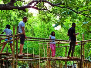 DSCN9583 scaled 1 Bamboo India