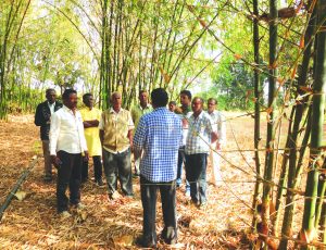 Exposure Visit 1 Bamboo India