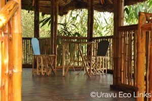 Honeymoon 8 Bamboo India