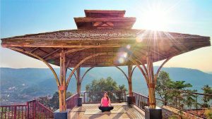 IMG 20200914 WA0005 Bamboo India