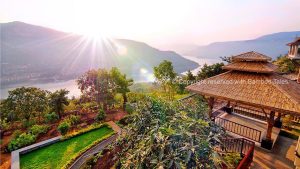 IMG 20200914 WA0014 Bamboo India