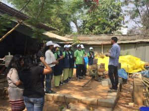 IMG 0126 Bamboo India