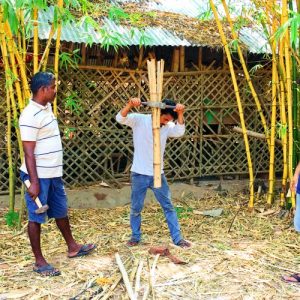IMG 0505 500x500 1 Bamboo India