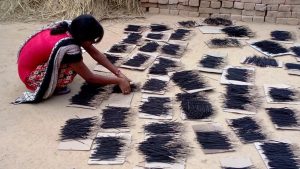 IMG 20141222 173046 Bamboo India