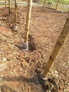 IMG 20151021 095756 m Bamboo India