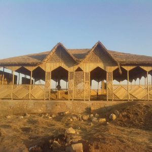 IMG 20161130 171750 Bamboo India