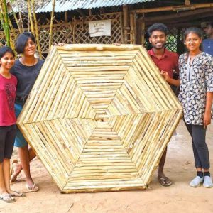 IMG 20180730 161843 1 500x500 1 Bamboo India