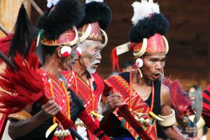 IMG 4935 Konyak e1633084964555 Bamboo India