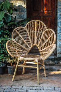 IMG 6935 449x674 Bamboo India