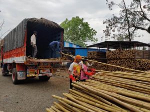 Loading bamboo cointener Bamboo India
