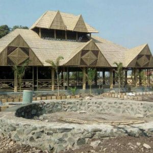 RAKESHBHAI.AM 20171116 082302 Bamboo India