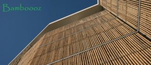 Round Bamboo Facade 1 Bamboo India