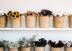 Section 2 pdfozpcc0ol9do685yj3ykwq33684b451beaaiyjsc Bamboo India