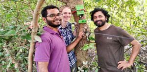 Treewatch Bamboo India