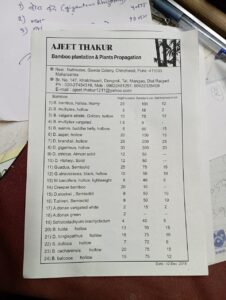 WhatsApp Image 2025 07 11 at 13.47.02 Bamboo India