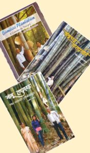 WhatsApp Image 2025 07 11 at 13.47.03 Bamboo India