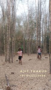 WhatsApp Image 2025 07 11 at 13.47.03 2 Bamboo India