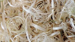 backdrop 2 1920x1080 97 Bamboo India