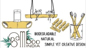 bamboo india 02 Bamboo India